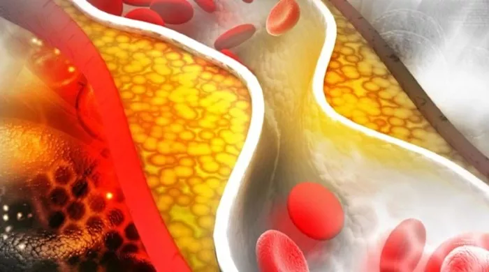 mitovi o holesterolu