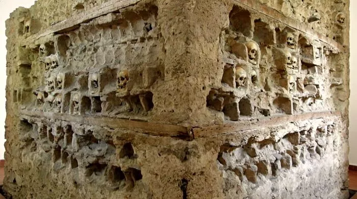 novo lice ćele kule