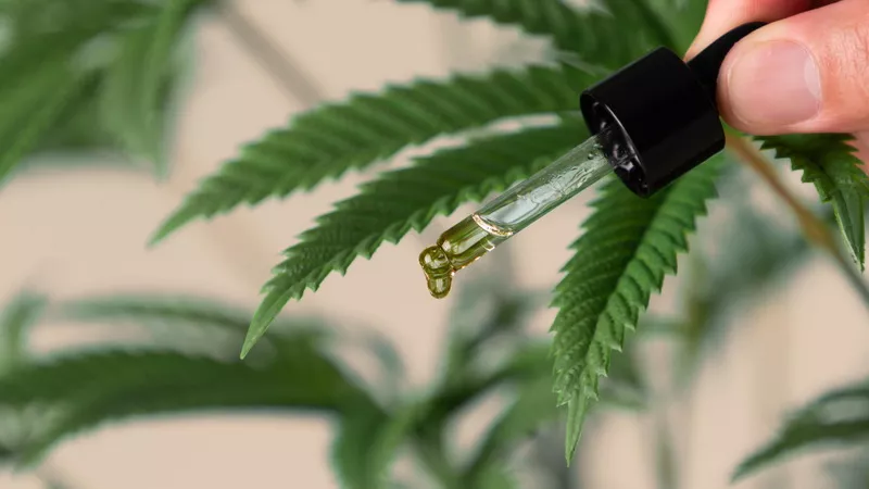 Upotreba medicinskog kanabisa za zdravlje - da li je kanabis lek