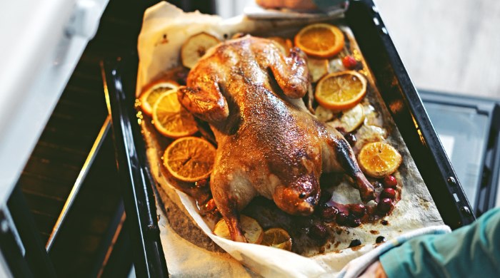 otkriven recept