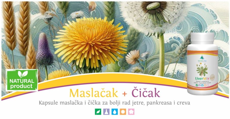LiverMix kapsule maslačka i čička za jetru i creva priroda na dar