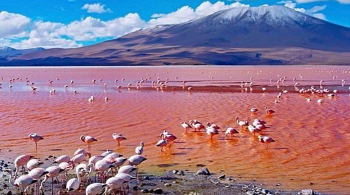 natron