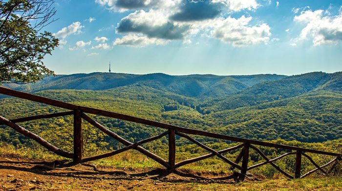 fruška gora