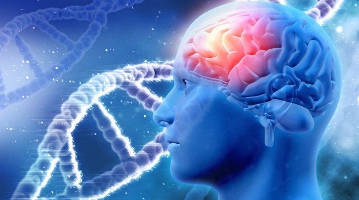 neuroinflamacija