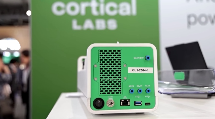 cl1