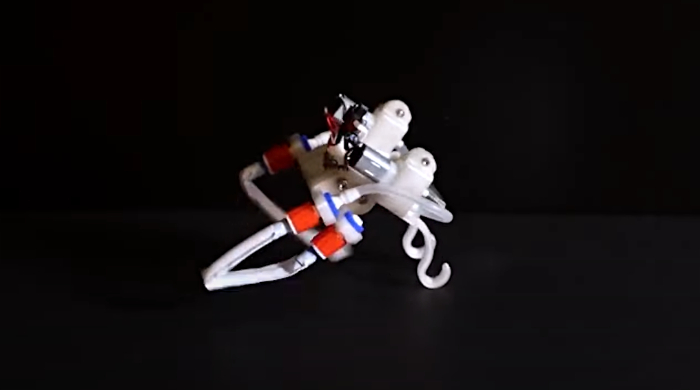 robota